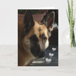 Deutscher Schäferhund noch Turnin' Mein Kopf Valen Feiertagskarte