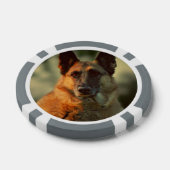 Deutscher Schäferhund Pokerchips (Einzeln)