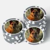 Deutscher Schäferhund Pokerchips (Stapel)