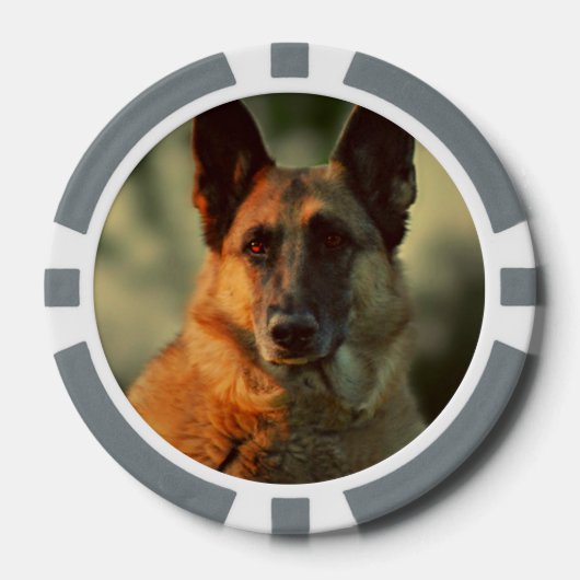 Deutscher Schäferhund Pokerchips (Vorderseite)