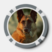 Deutscher Schäferhund Pokerchips (Rückseite)