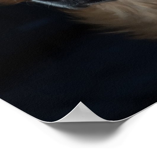 Deutscher Schäferhund Poster (Ecke)