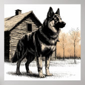 Deutscher Schäferhund Poster (Vorne)