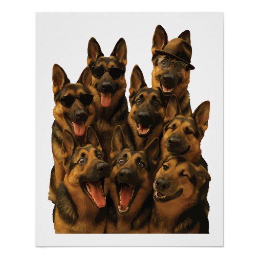 Deutscher Schäferhund Poster (Vorderseite)