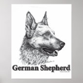 Deutscher Schäferhund Poster (Vorne)