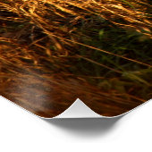 Deutscher Schäferhund Poster (Ecke)