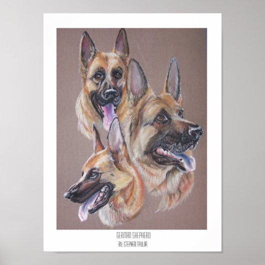 Deutscher Schäferhund Poster (Vorne)
