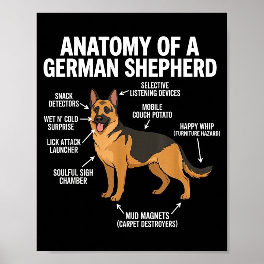 Deutscher Schäferhund  Poster (Vorne)