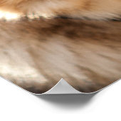 Deutscher Schäferhund Poster (Ecke)