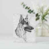 Deutscher Schäferhund Postkarte (Stehend Vorderseite)