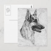 Deutscher Schäferhund Postkarte (Vorne/Hinten)