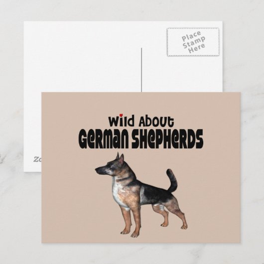 Deutscher Schäferhund Postkarte (Vorne/Hinten)