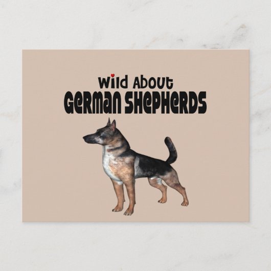 Deutscher Schäferhund Postkarte (Vorderseite)