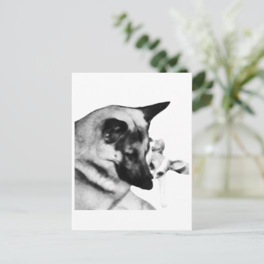 Deutscher Schäferhund Postkarte (Stehend Vorderseite)