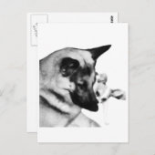 Deutscher Schäferhund Postkarte (Vorne/Hinten)