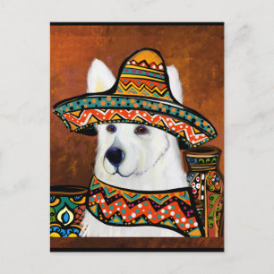 Deutscher Schäferhund      Postkarte