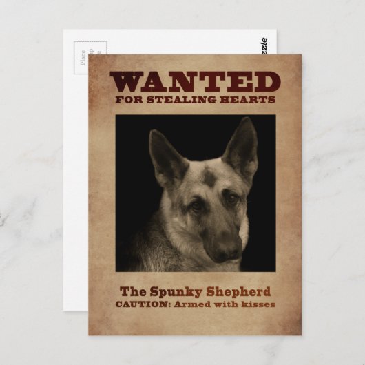 Deutscher Schäferhund Postkarte (Vorne/Hinten)