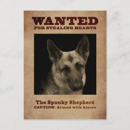 Deutscher Schäferhund Postkarte