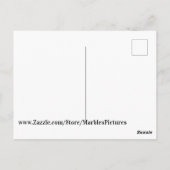 Deutscher Schäferhund Postkarte (Rückseite)