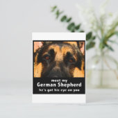 Deutscher Schäferhund Postkarte (Stehend Vorderseite)