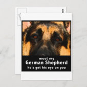 Deutscher Schäferhund Postkarte (Vorne/Hinten)