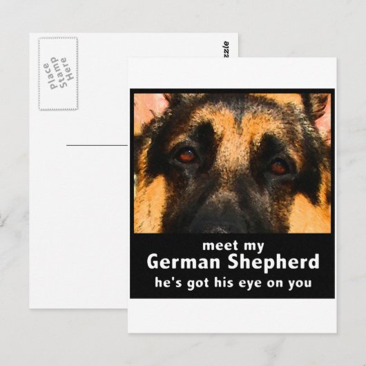 Deutscher Schäferhund Postkarte (Vorne/Hinten)