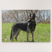 Deutscher Schäferhund Puzzle (Horizontal)