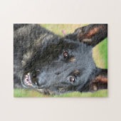 Deutscher Schäferhund Puzzle (Horizontal)