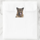 Deutscher Schäferhund Quadratischer Aufkleber (Tasche)