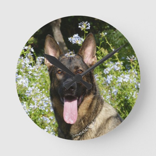 Deutscher Schäferhund Runde Wanduhr (Vorderseite)