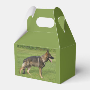 Deutscher Schäferhund Sable Vollständig Geschenkschachtel