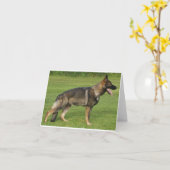 Deutscher Schäferhund Sable Vollständig Karte (Gelbe Blume)