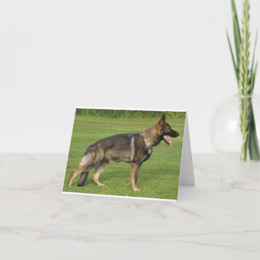 Deutscher Schäferhund Sable Vollständig Karte (Vorderseite)