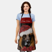 DEUTSCHER SCHÄFERHUND  SCHÜRZE (Getragen)