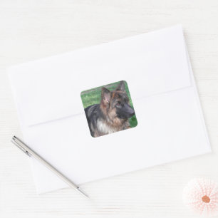 Deutscher Schäferhund Schwarz-Schwarzbraun Quadratischer Aufkleber