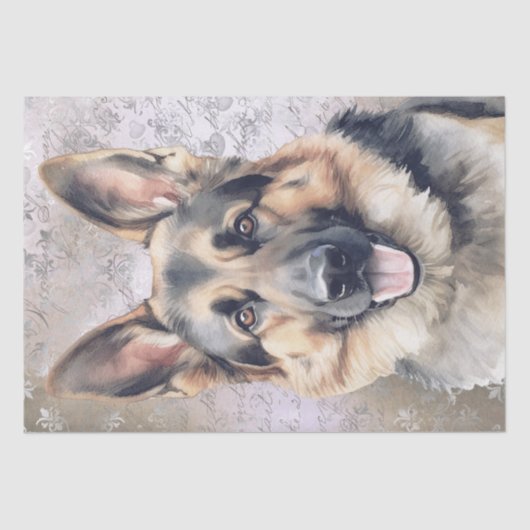 Deutscher Schäferhund Seidenpapier (Vorderseite)