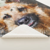 Deutscher Schäferhund Sherpadecke (3/4)