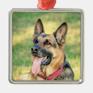 Deutscher Schäferhund Silbernes Ornament