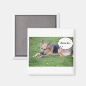 Deutscher Schäferhund-Spaß Magnet (Vorderseite/Rückseite)