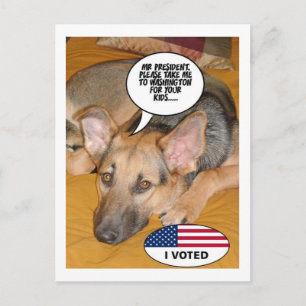 Deutscher Schäferhund-Spaß Postkarte