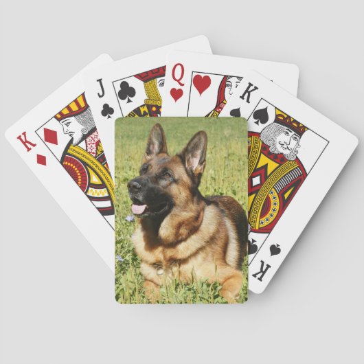 Deutscher Schäferhund Spielkarten (Rückseite)