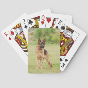 Deutscher Schäferhund Spielkarten