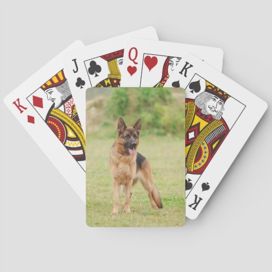 Deutscher Schäferhund Spielkarten (Rückseite)