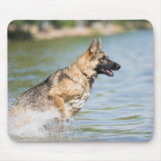 Deutscher Schäferhund springt ins Wasser Mousepad (Vorne)