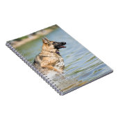 Deutscher Schäferhund springt ins Wasser Notizblock (Rechte Seite)