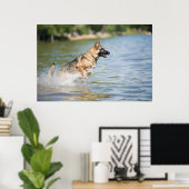 Deutscher Schäferhund springt ins Wasser Poster (Heimbüro)