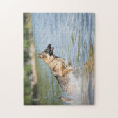 Deutscher Schäferhund springt ins Wasser Puzzle (Vertikal)
