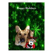 Deutscher Schäferhund, Toyotter, grüne Schneeflock