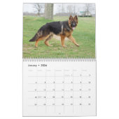 Deutscher Schäferhund und Welpen-Kalender Kalender (Jan 2026)