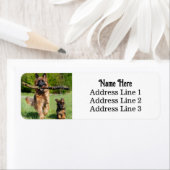 Deutscher Schäferhund und Welpenhund Rücksendeadre (Insitu)